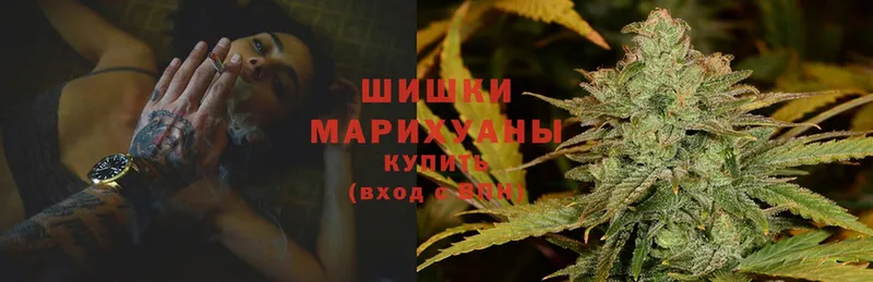 купить закладку  Ветлуга  Бошки Шишки SATIVA & INDICA 